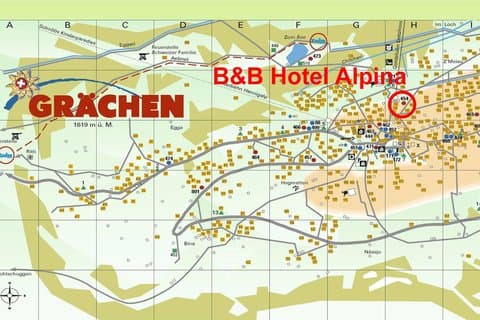 Hotel Alpina в Graechen, CH