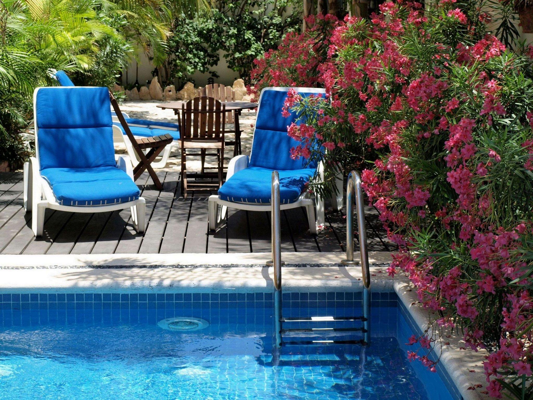 Hotel Las Golondrinas image