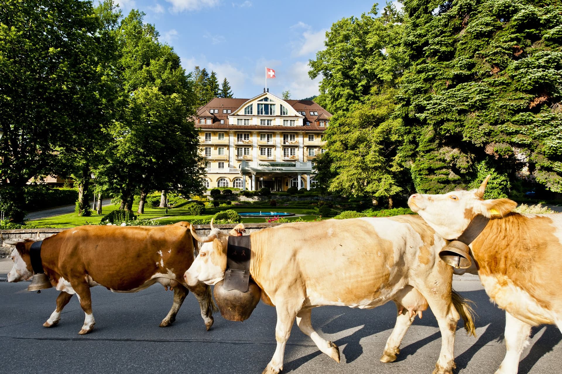 Le Grand Bellevue в Saanen, CH