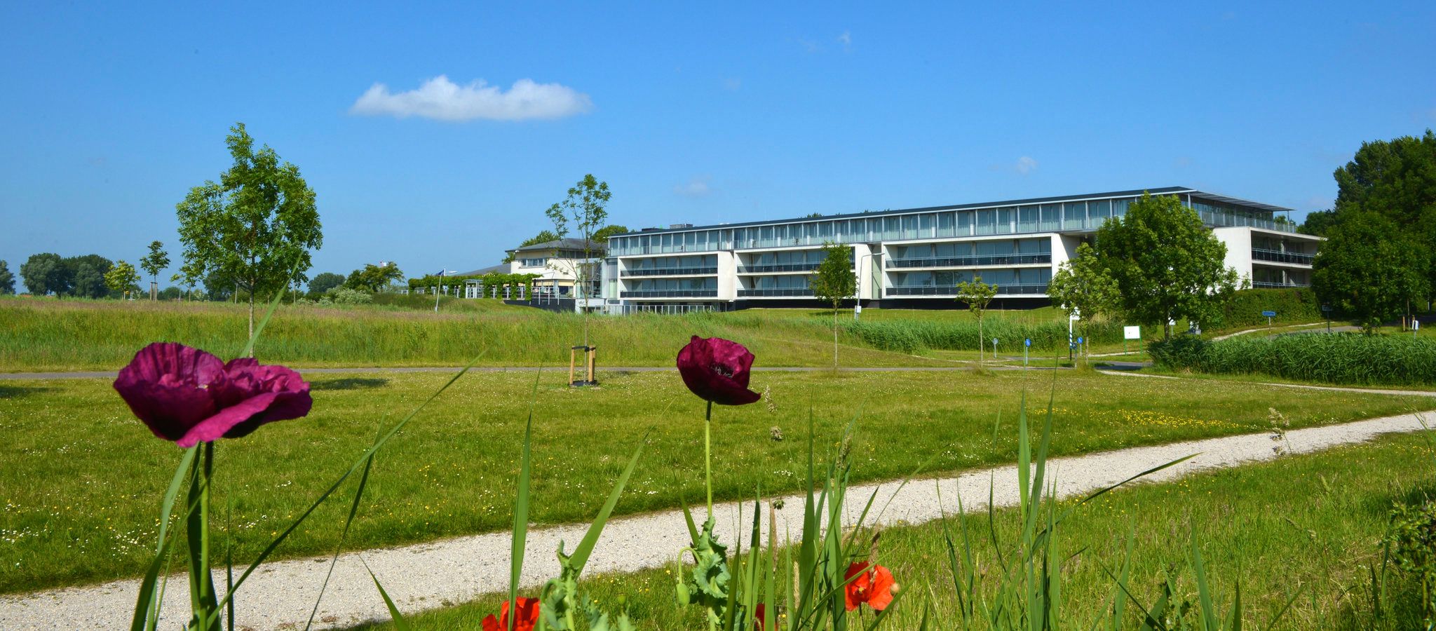 Изображение места проведения