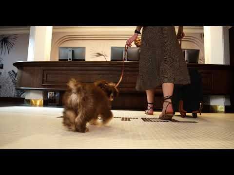 Bild på anläggning