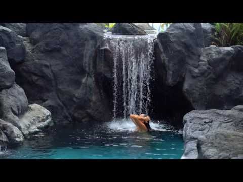 Bild på anläggning