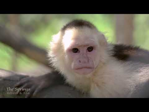 Bild på anläggning