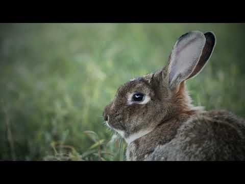 รูปสถานที่จัดงาน