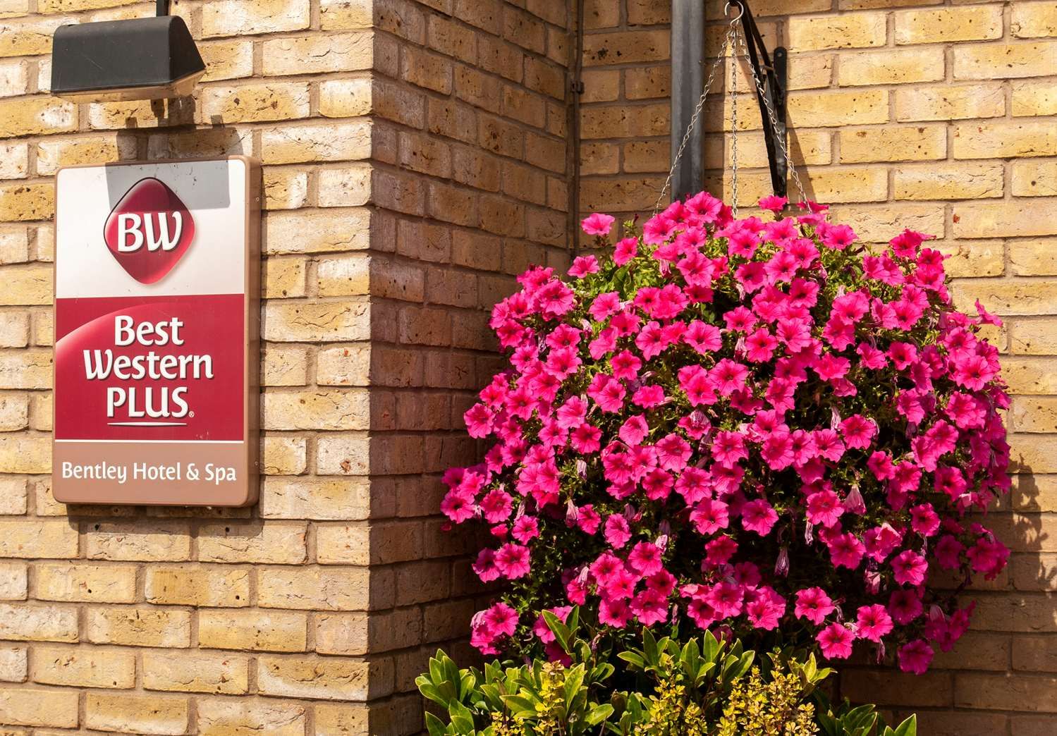 รูปสถานที่จัดงาน