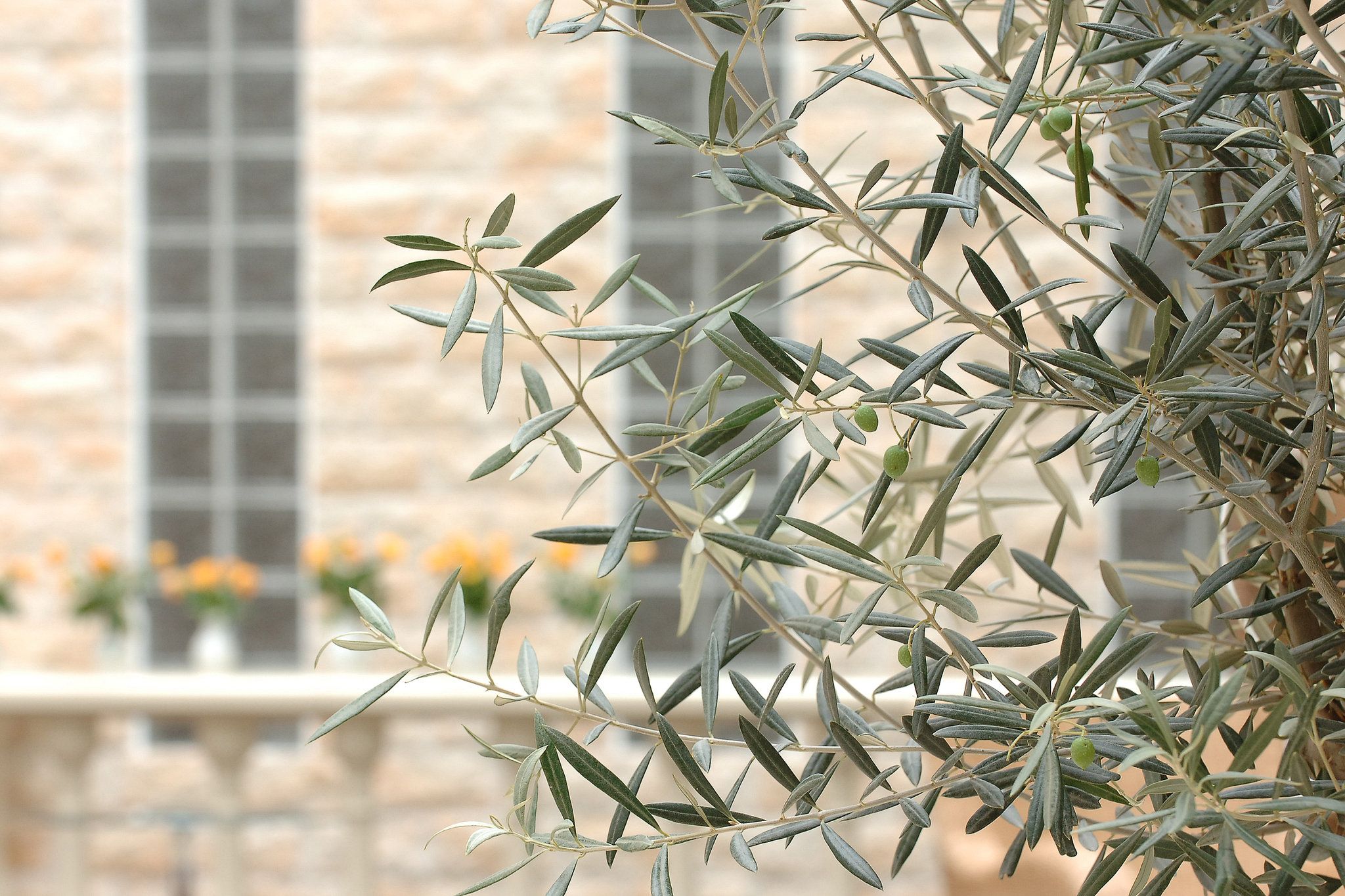 Изображение места проведения