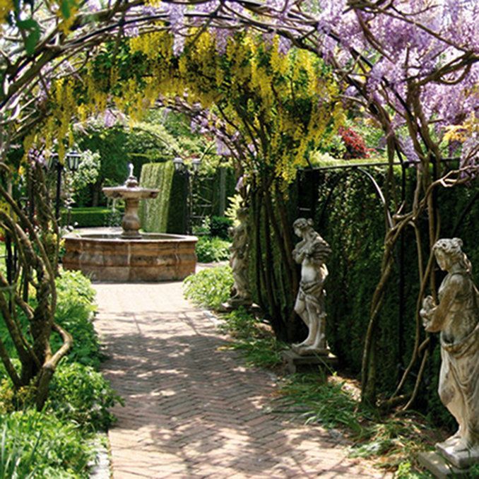 Изображение места проведения