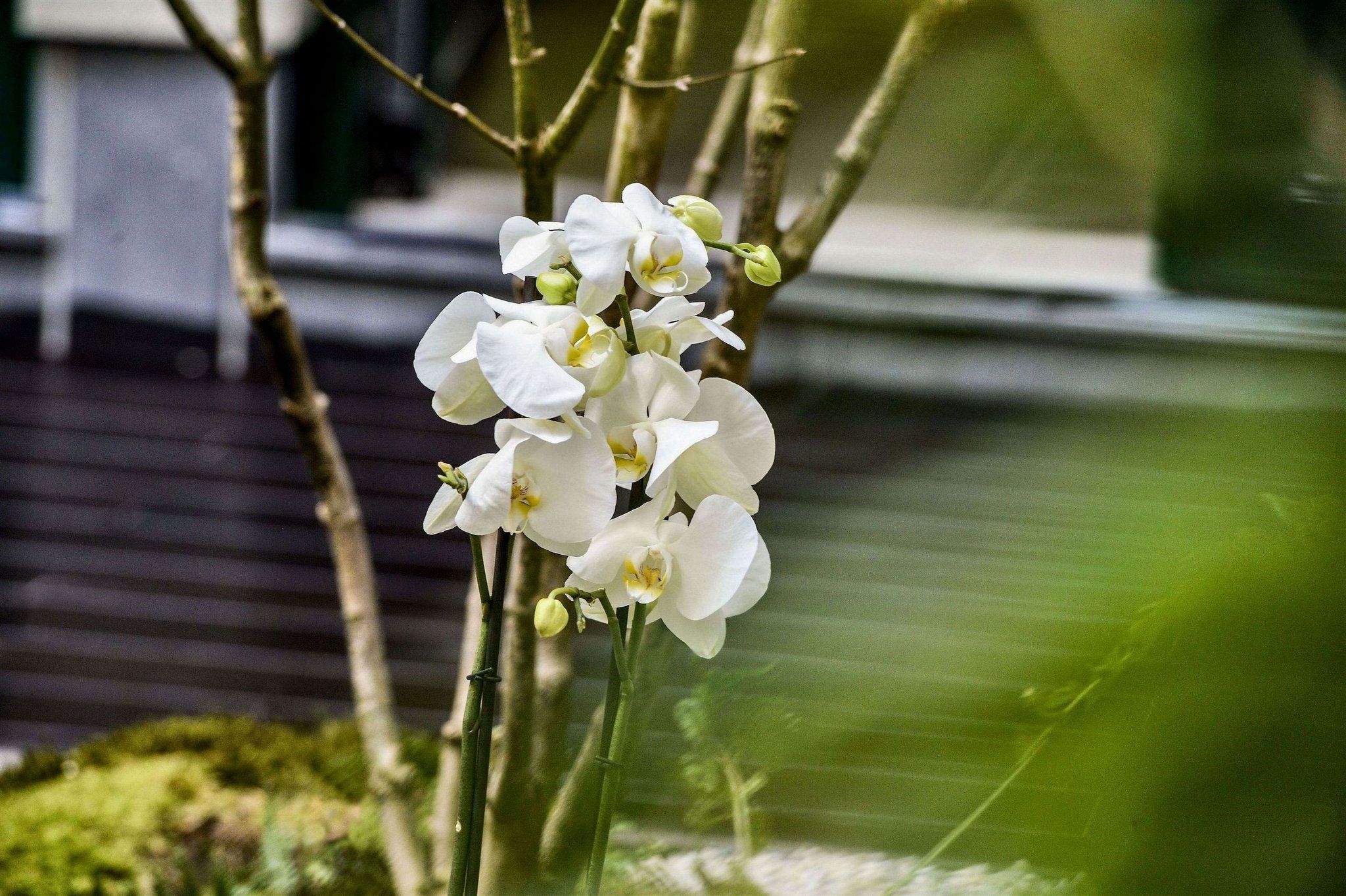 Изображение места проведения