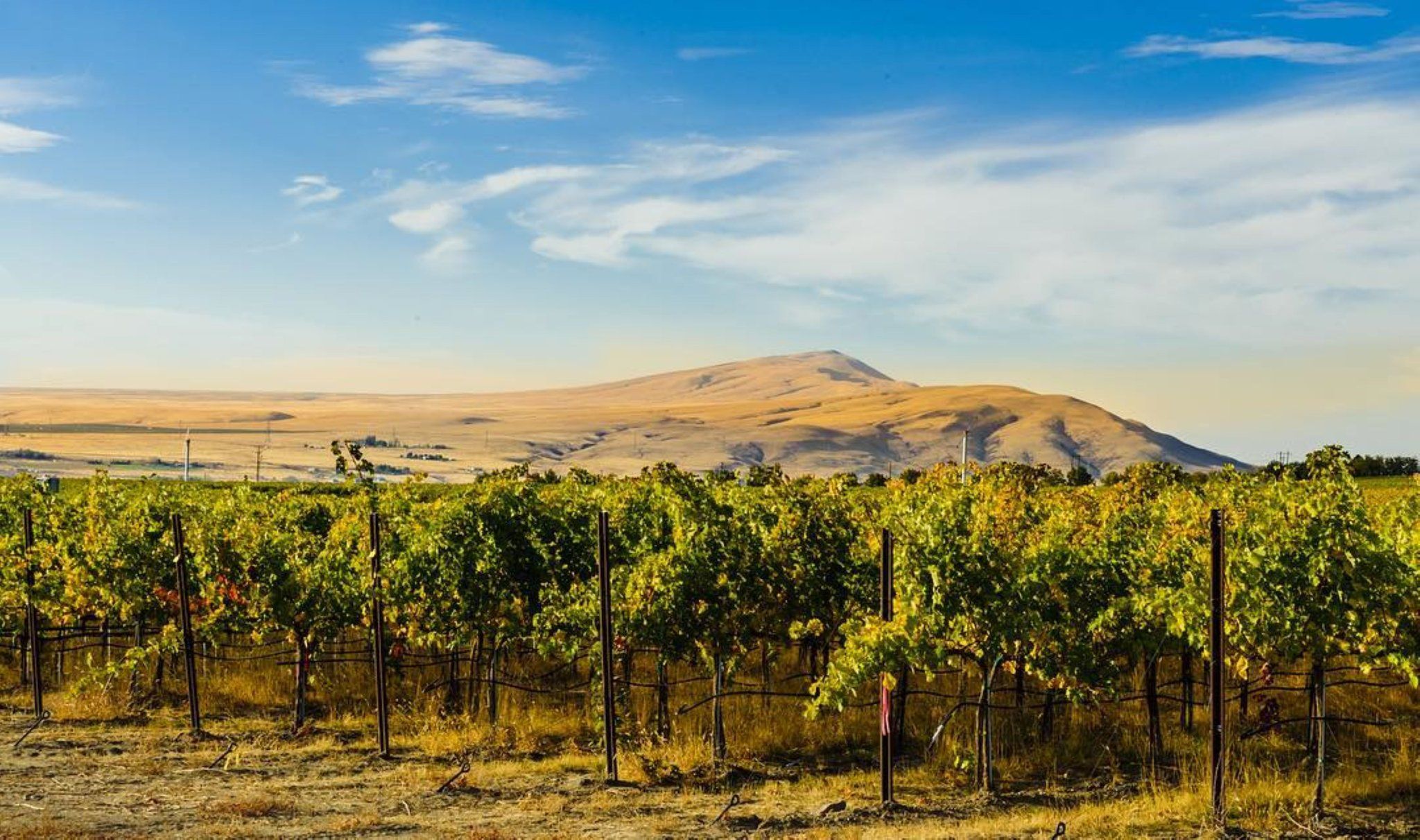 รูปสถานที่จัดงาน