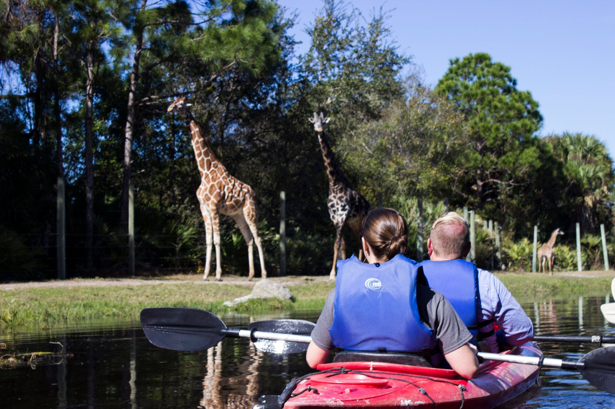 Изображение места проведения