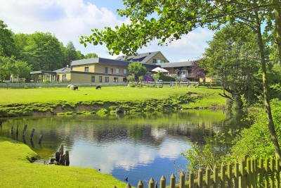 Conference Partner Hotel Toewerland, Steinfeld, DE