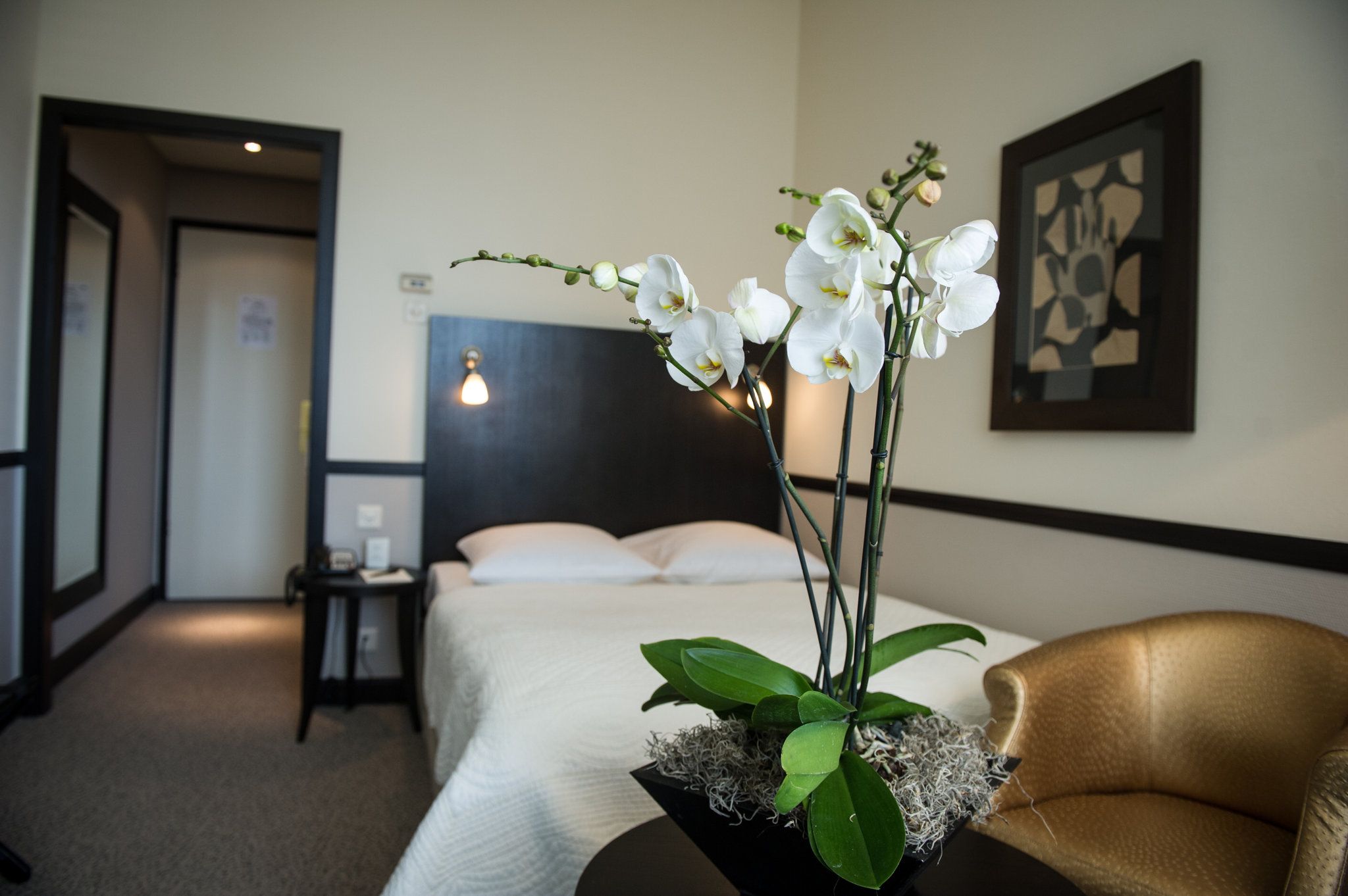 Bild på anläggning