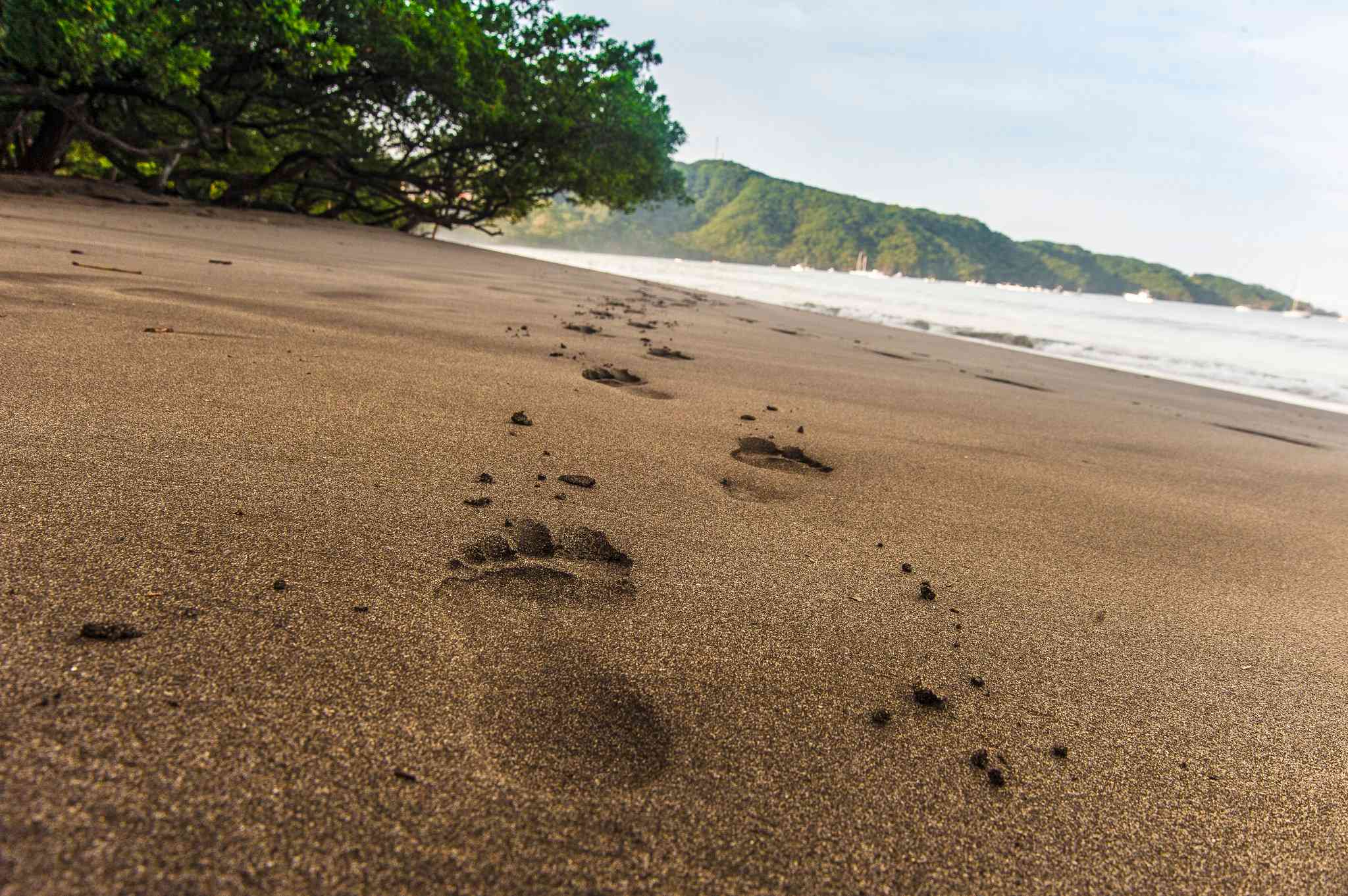 Villas Sol Hotel & Beach Resort в San Jose, CR