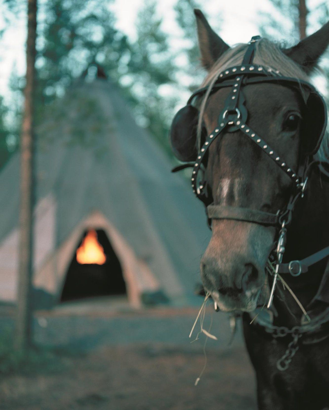 Bild på anläggning