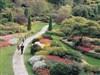 Butchart Gardens