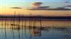 Parque natural de la Albufera