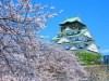 Osaka Castle