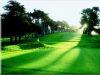 The Presidio Golf Course