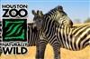 Houston Zoo