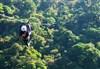 Sky Trek Zipline Canopy Tour