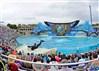 SeaWorld