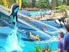 Sea World Adventure Park