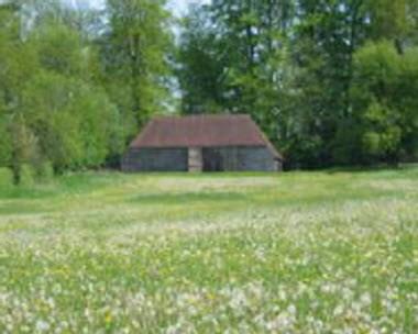 Gilbert Whites House & Gardens & Oates Museum в Alton, GB1