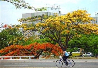 Изображение места проведения