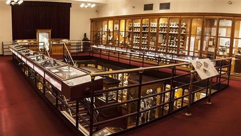 费城医师学院穆特博物馆