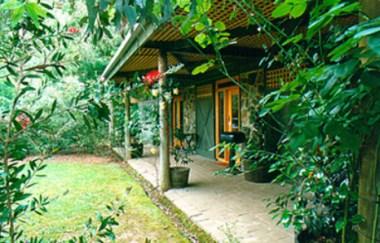 Kingbilli in Yarra Valley and the Dandenong Ranges, AU