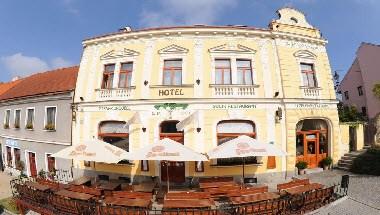 Hotel U Zeleneho Stromu em Nepomuk, CZ