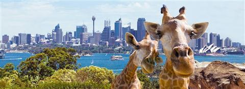 Taronga Zoo