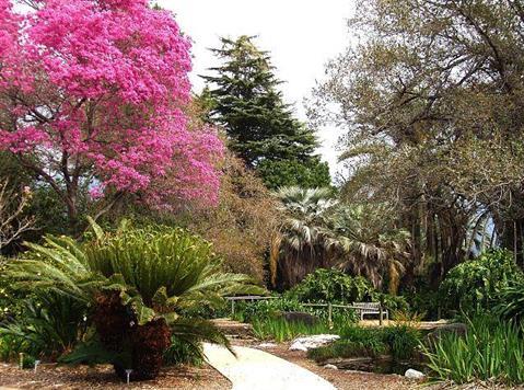 Los Angeles County Arboretum