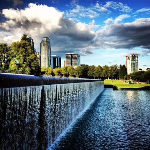 Local Bellevue Events