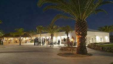 The Hidden Palms в Santa Fe, TX