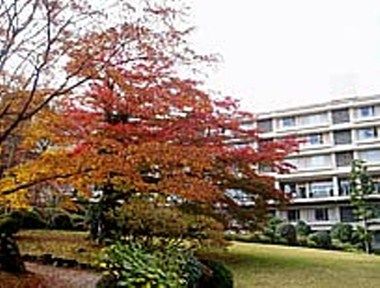 Изображение места проведения