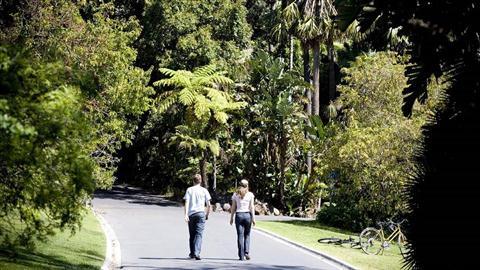 Royal Botanic Gardens
