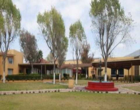 Gamma Pachuca a Pachuca, MX