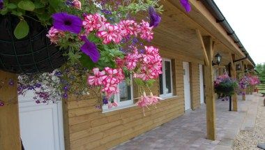 Изображение места проведения