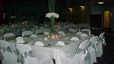 Diggers at Newcastle City, Hunter, AU