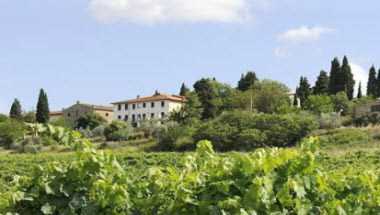 Montelucci Country Resort & Agriturismo Di Charme in Pergine Valdarno, IT