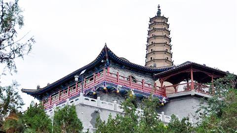 Parque de la Pagoda Blanca