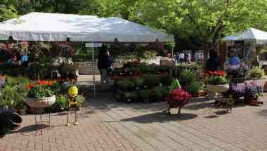 Cameron Park Zoo em Waco, TX