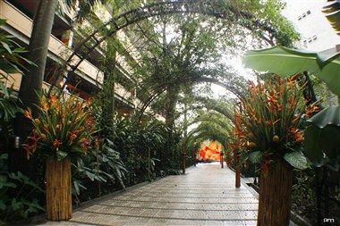 Изображение места проведения