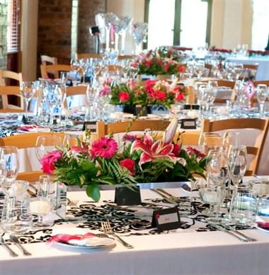 Delvera em Stellenbosch, ZA