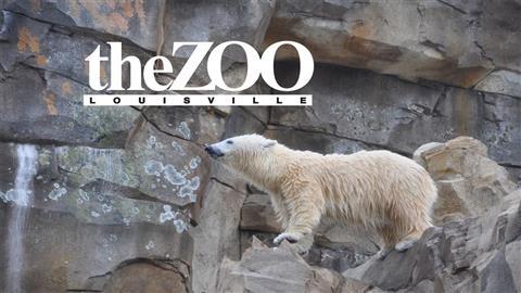 路易维尔动物园