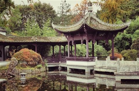 Chinese Garden