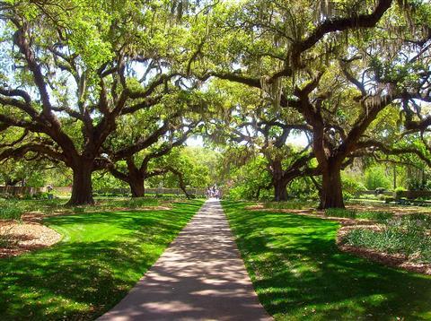 Brookgreen Gardens