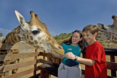 Parque Safari de San Diego
