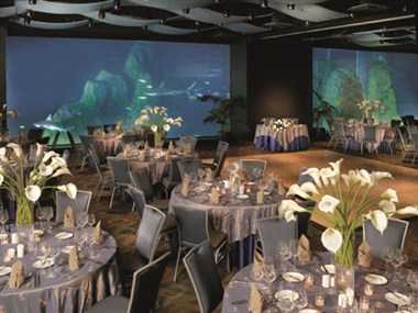 Adventure Aquarium in Camden, NJ